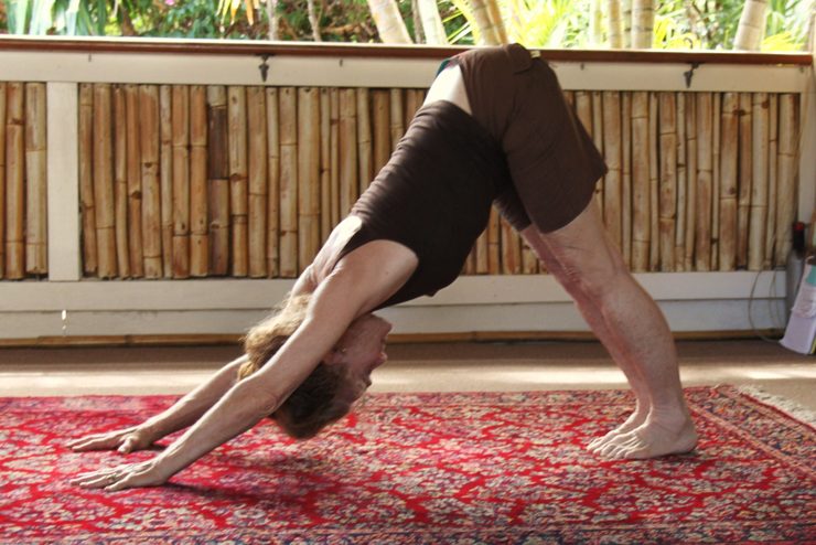Downward dog in the YSK studio